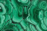 Flowery Polished Malachite Slab - DR Congo #360753-1